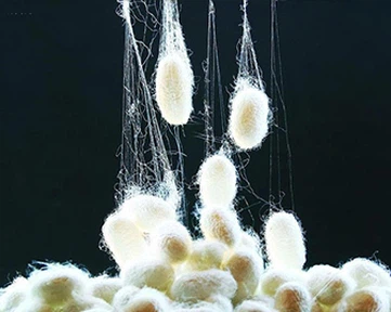 Các Loại Vải Sợi Tre